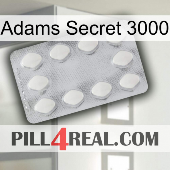 Adams Secret 3000 16.jpg